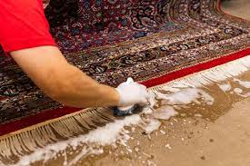 carpet cleaning services in Kileleshewa