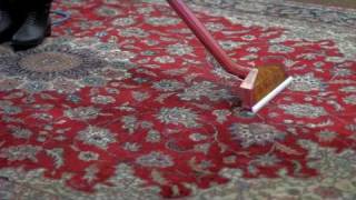carpet cleaning services in Ngumba