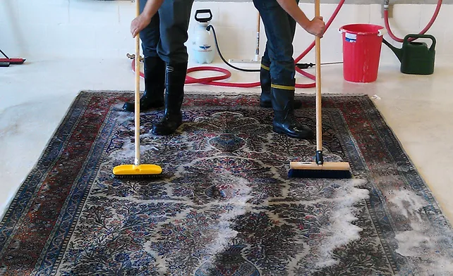carpet cleaning services in Reagan