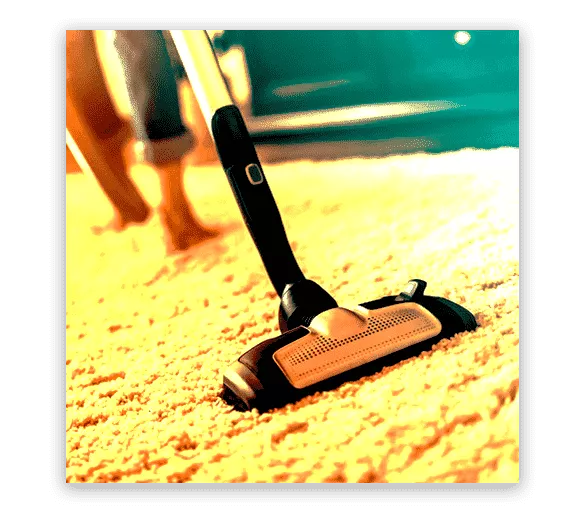 carpet cleaning services in South B
