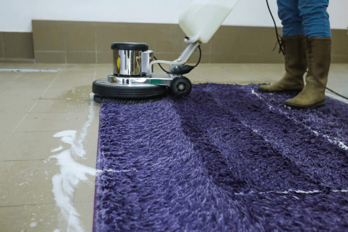 carpet cleaning services in riara