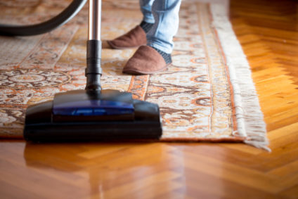 carpet cleaning services in safari park